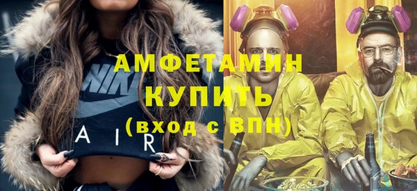 шишки Бородино