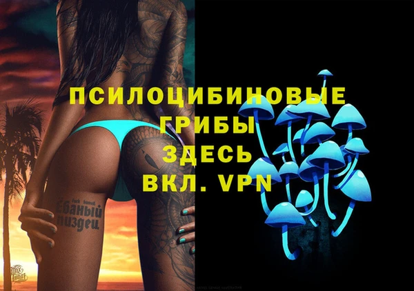mix Сосновый Бор