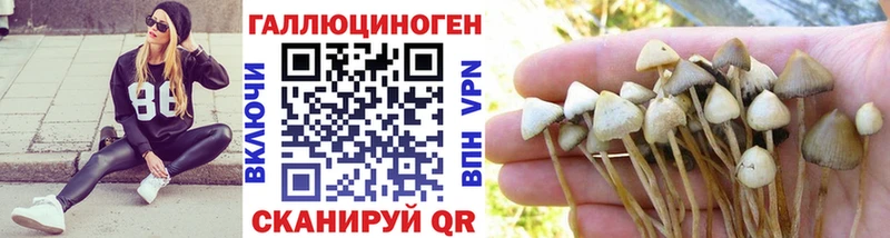 Псилоцибиновые грибы MAGIC MUSHROOMS  Купить где  Ярославль